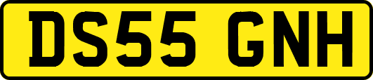 DS55GNH
