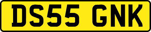 DS55GNK