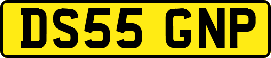DS55GNP