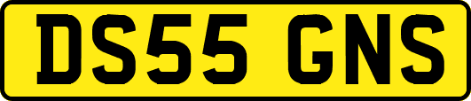 DS55GNS