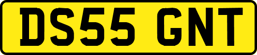 DS55GNT