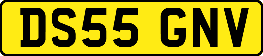 DS55GNV