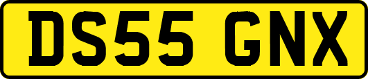 DS55GNX