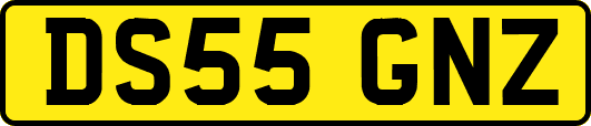DS55GNZ