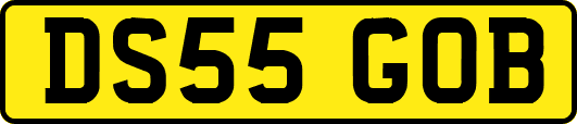 DS55GOB