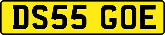 DS55GOE