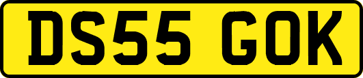 DS55GOK