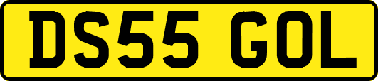 DS55GOL