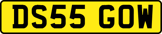 DS55GOW