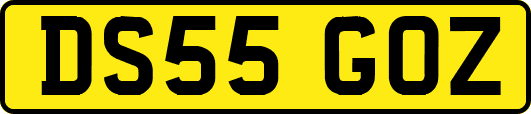 DS55GOZ