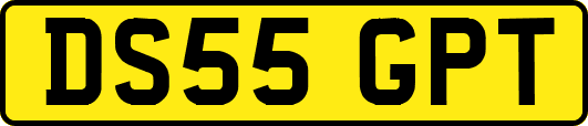 DS55GPT