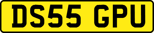 DS55GPU