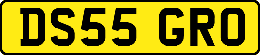 DS55GRO