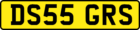 DS55GRS
