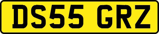 DS55GRZ