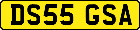 DS55GSA