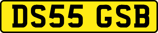 DS55GSB