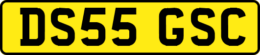 DS55GSC
