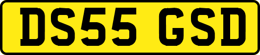DS55GSD