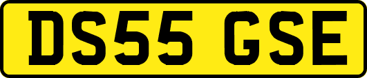 DS55GSE