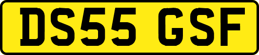 DS55GSF