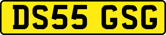 DS55GSG