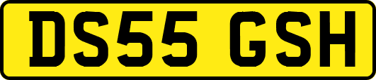 DS55GSH