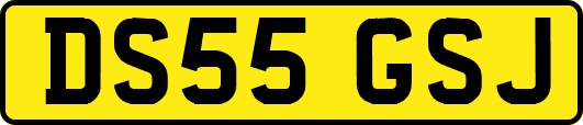 DS55GSJ
