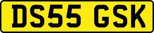 DS55GSK