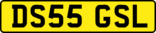 DS55GSL