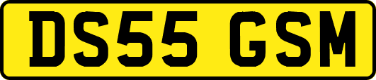 DS55GSM