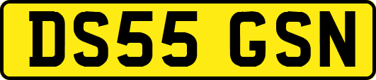 DS55GSN