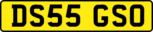 DS55GSO