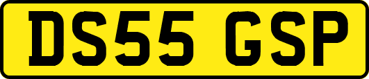 DS55GSP