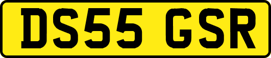 DS55GSR