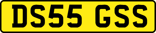 DS55GSS