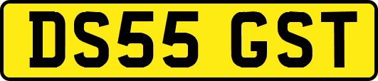 DS55GST