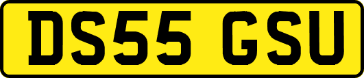 DS55GSU