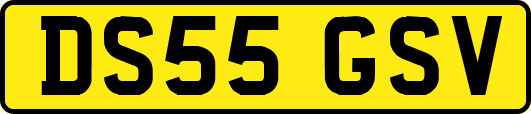 DS55GSV