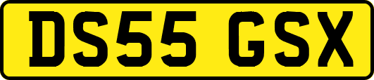 DS55GSX