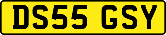 DS55GSY