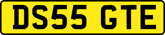 DS55GTE