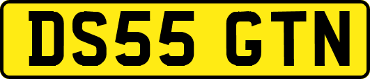 DS55GTN