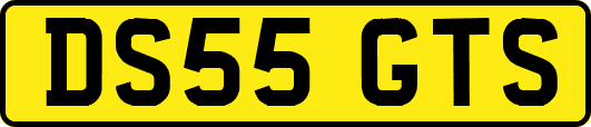 DS55GTS