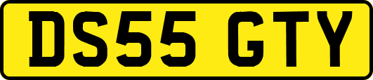 DS55GTY