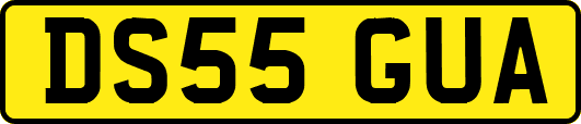 DS55GUA
