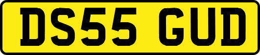 DS55GUD