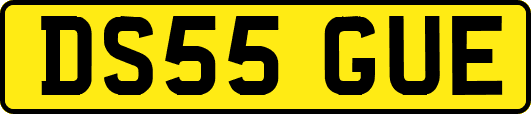 DS55GUE