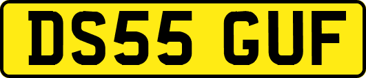 DS55GUF