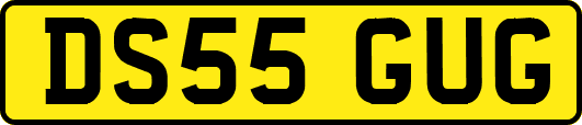 DS55GUG